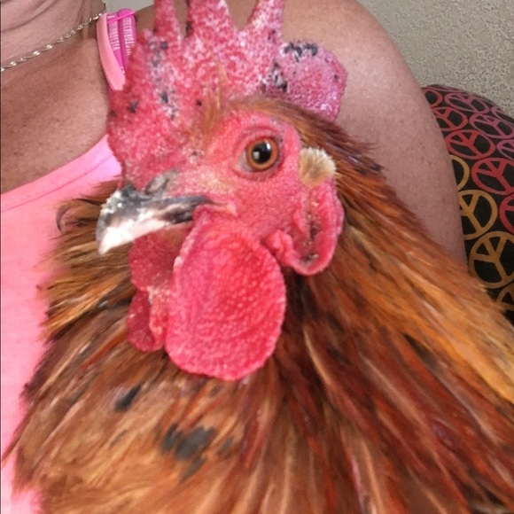 Respect YOURSELF and OTHERS! STAY SAFE❤️😘☮️ - Picture 3 of 4